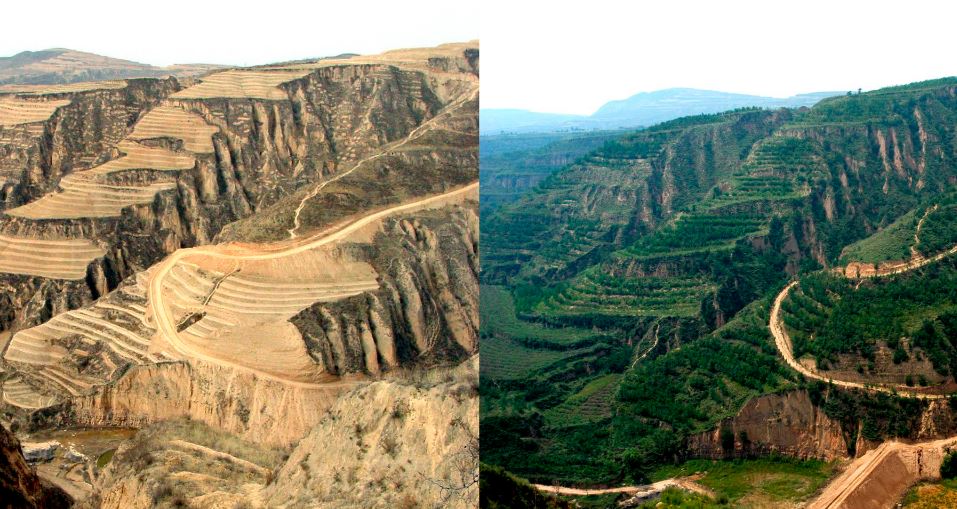 Restoring the Loess Plateau: John Liu’s Remarkable Environmental Project