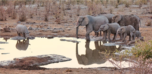 Permaculture: Sustainable Agriculture for Namibia’s Arid Climate